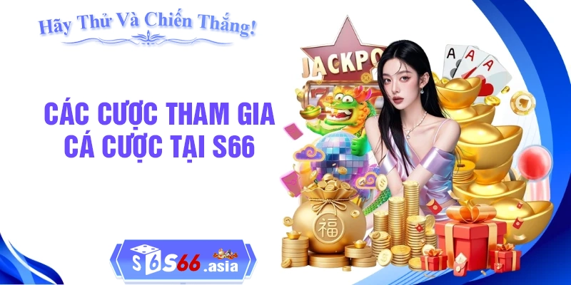Quy trình 7 bước tham gia cá cược tại nhà cái S66